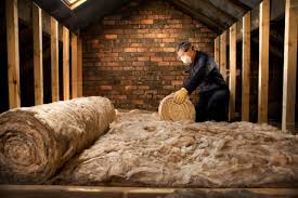 Eco-Friendly or Green Insulation Solutions in Elm Creek, TX